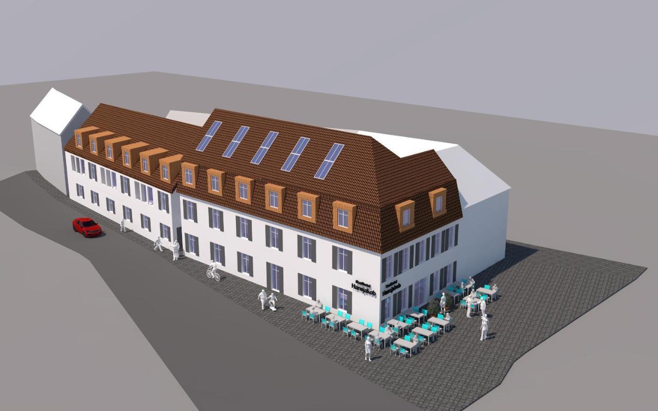 Stadthotel Haslach Haslach im Kinzigtal Extérieur photo